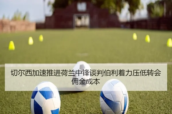 切尔西加速推进荷兰中锋谈判伯利着力压低转会佣金成本
