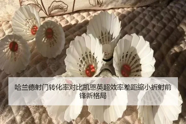 哈兰德射门转化率对比凯恩英超效率差距缩小折射前锋新格局